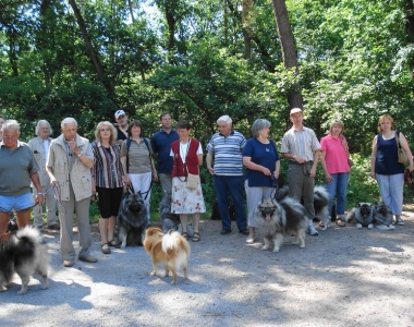 Gruppe Hessen Spitztreffen in Buchenberg 2010 - 01