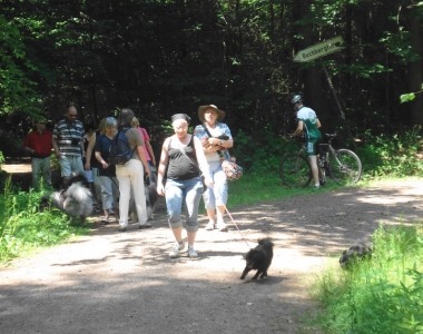 Gruppe Hessen Spitztreffen in Buchenberg 2010 - 05