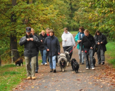 Spitztreffen Stammtisch Usingen 2010-10 05