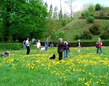 Stammtisch Gruppe Hessen Mai 2010 - 06