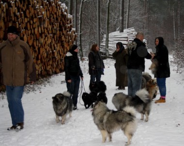 Weihnachtsfeier der Gruppe Hessen mit Spitzen 2012 - 05