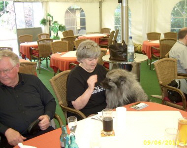 Tag des Hundes - Spitze der Gruppe Hessen 2013 - 02