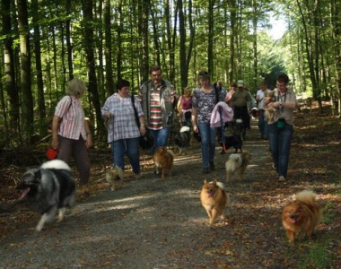 Wandertag in Usingen im Oktober 2011 des Spitzevereins Gruppe Hessen 04