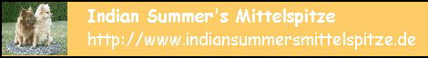 banner_indian-summers